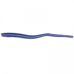 Phoenix TROUT WORM 2,8" (7cm) - kolor WR-043- BLUE CAMELEON